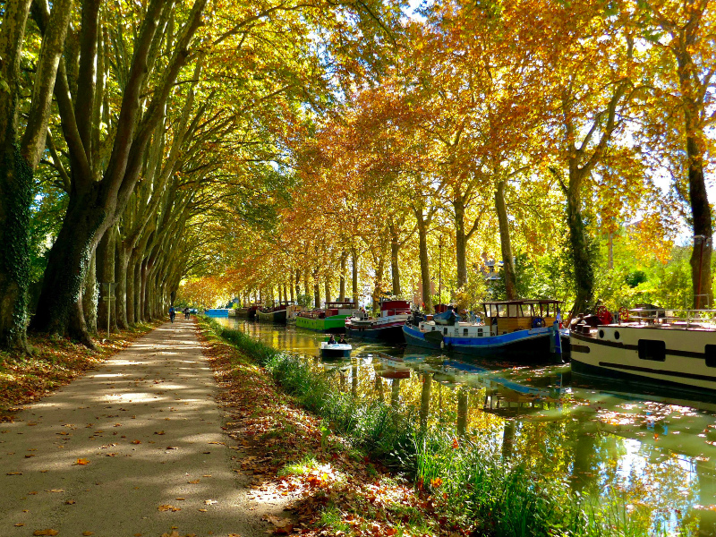 Slow Down and Pedal: Cycling the Canal du Midi