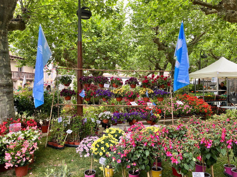 Spring Flower Markets Not to Miss in Southwest France – Part Two